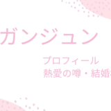 ソ・ガンジュンの彼女・結婚相手は凄い人？プロフィールや好きな女性のタイプも調べてみた！